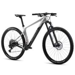 Ghost Lector SF LC - 29" Carbon Mountainbike - 2023 - Light Grey / Black -ROCKSHOX Verkoopwinkel 93le1011 ghost lector sf light grey 02 1494918