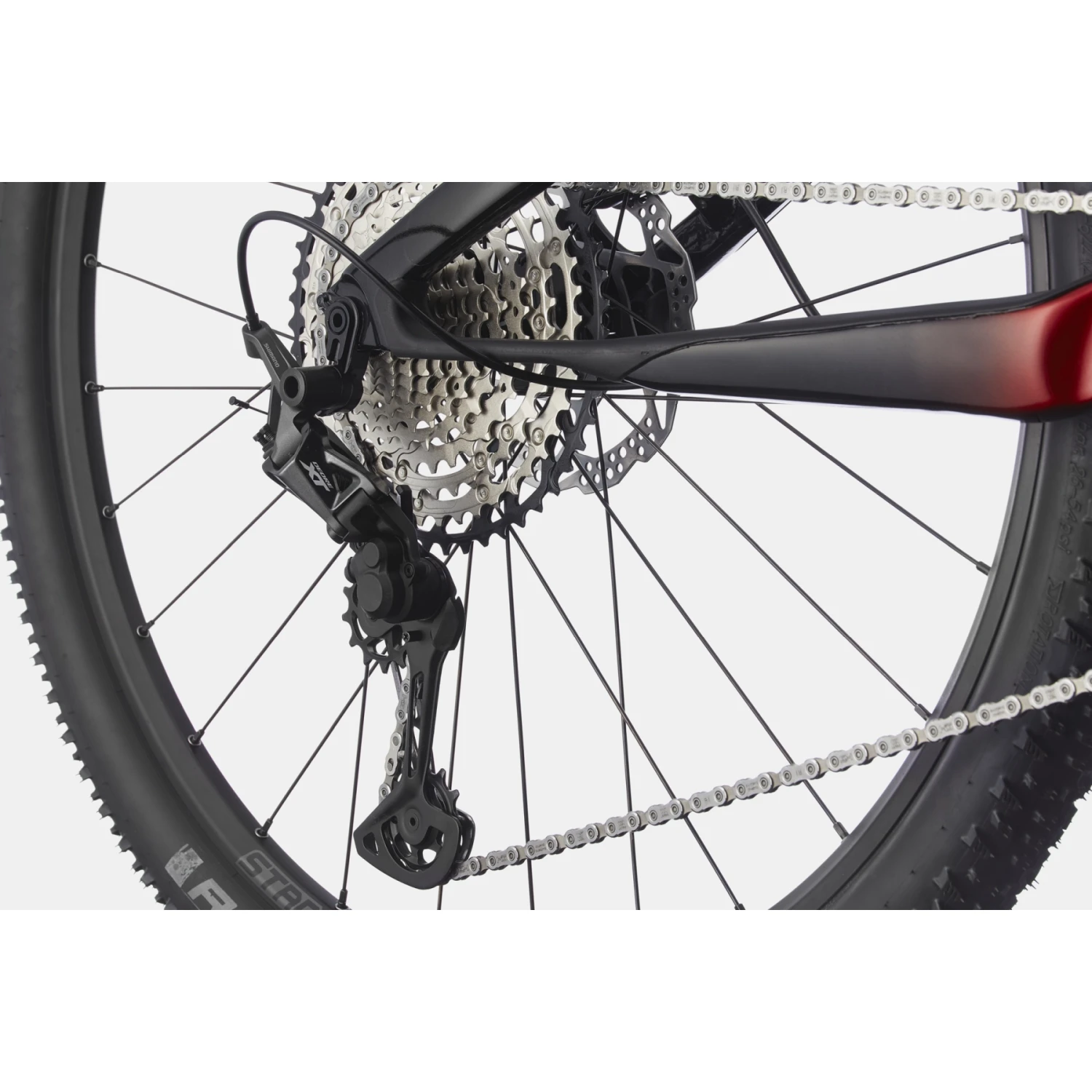 Cannondale SCALPEL CARBON 3 - 29" Mountainbike - 2023 - Candy Red 6 Cannondale SCALPEL CARBON 3 - 29" Mountainbike - 2023 - Candy Red - Afbeelding 4