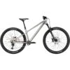 Cannondale HABIT HT 1 - 29" Mountainbike - 2023 - Mercury -ROCKSHOX Verkoopwinkel habit ht 1 mercury 1 1491823