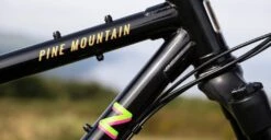 Marin PINE MOUNTAIN 2 - 29" Stalen Mountainbike - 2023 - Black -ROCKSHOX Verkoopwinkel pine mountain 2 black 4 1435868